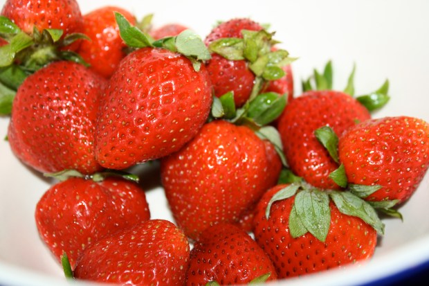 We sampled a few and they were really sweet.