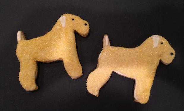 10350993_1421221654830049_3873256554387128089_n